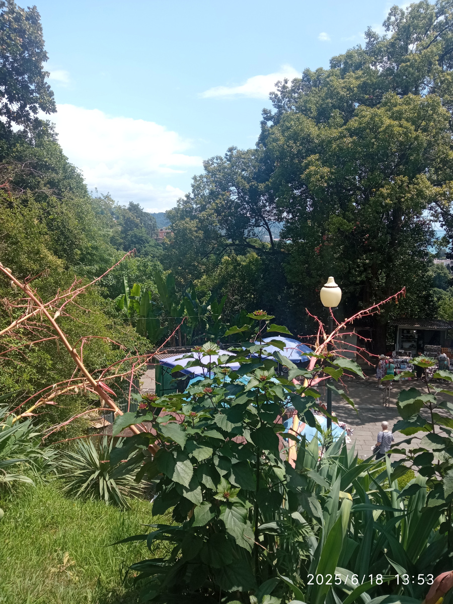 Фото автора, палатки у входа в питомник 