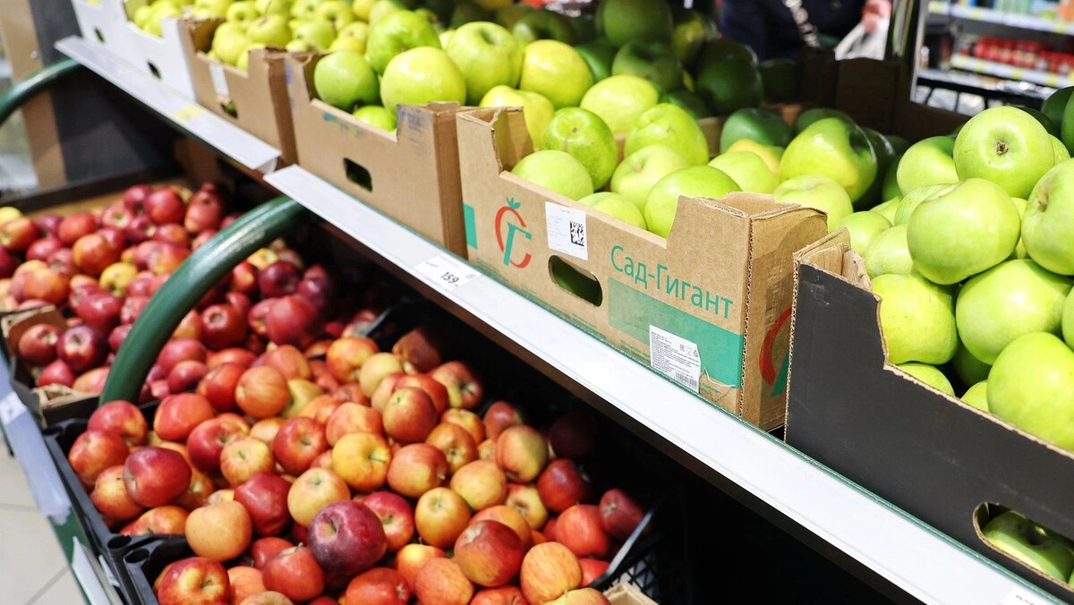    Фото: Андрей Ткачев / «Ямал-Медиа»