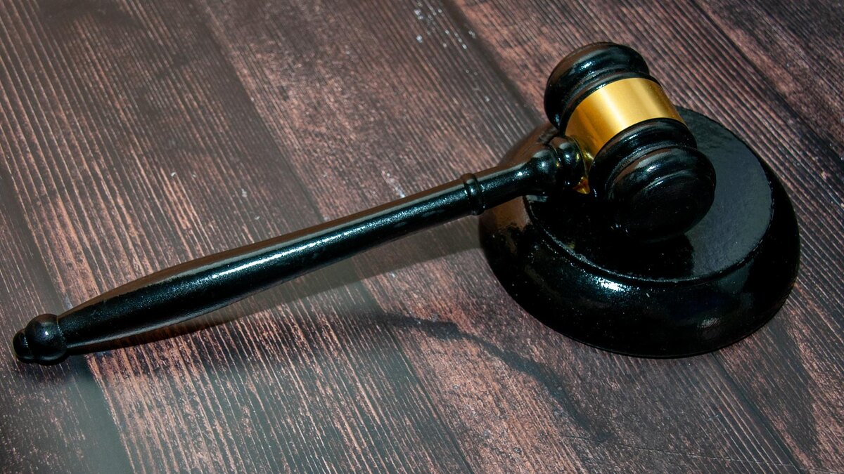    Фото: Svetlana Vozmilova/Global Look Press