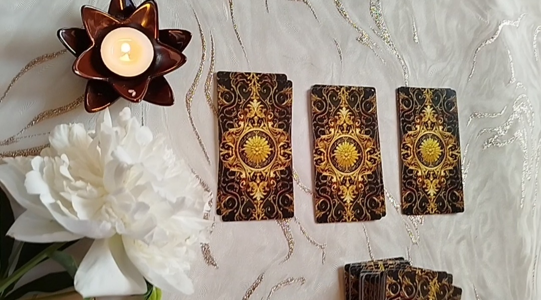 На выбор три варианта