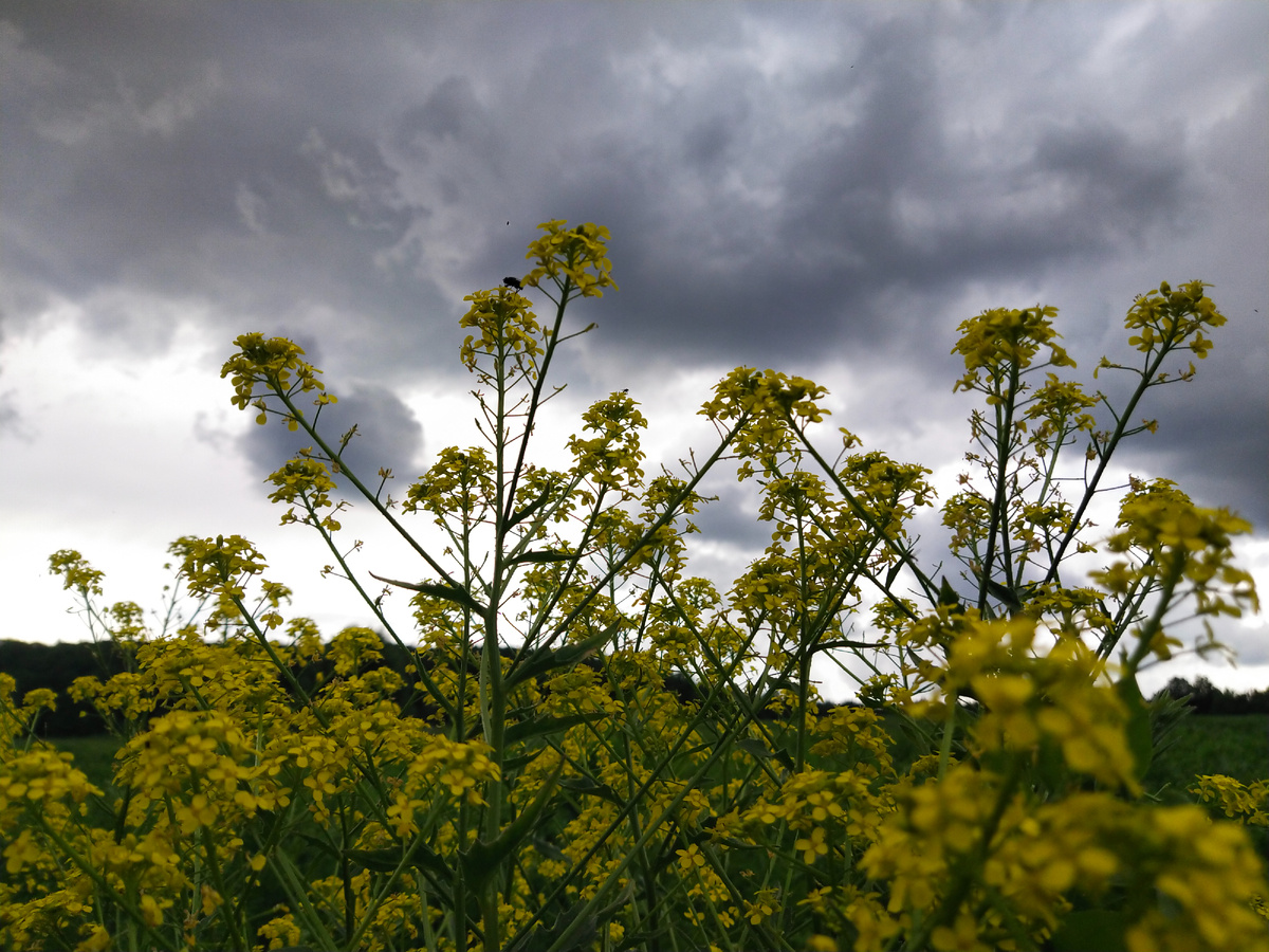 Личное фото