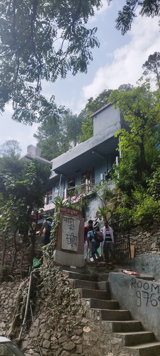 Лесенок тут много, да