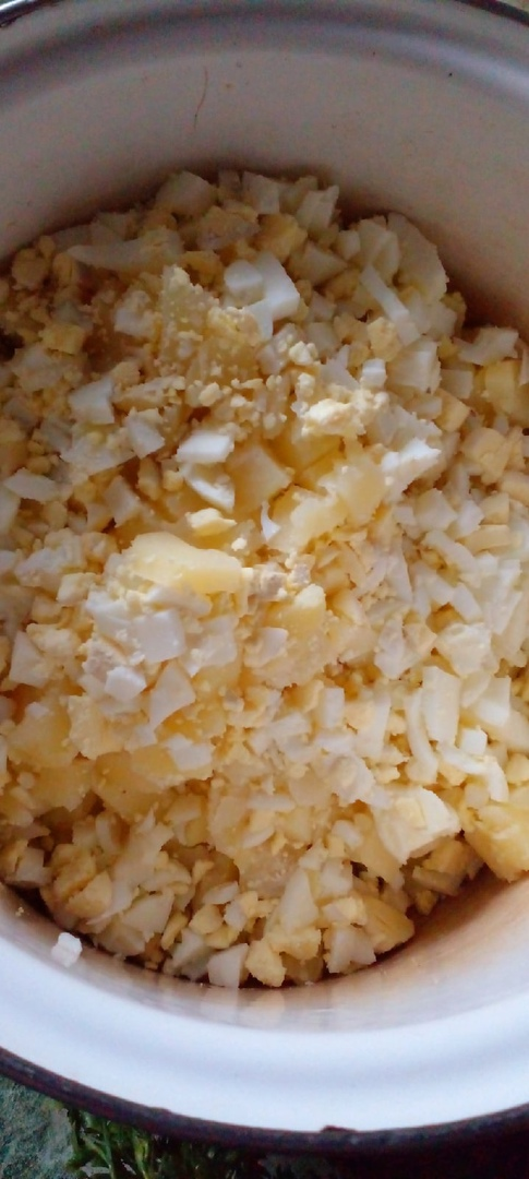 Все фото авторские