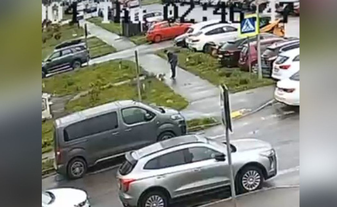    © vk.com / «Девяткино LIVE | Мурино»