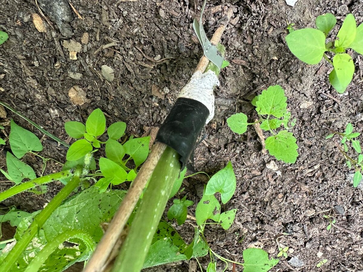 Вот она моя минута славы — я хирург 