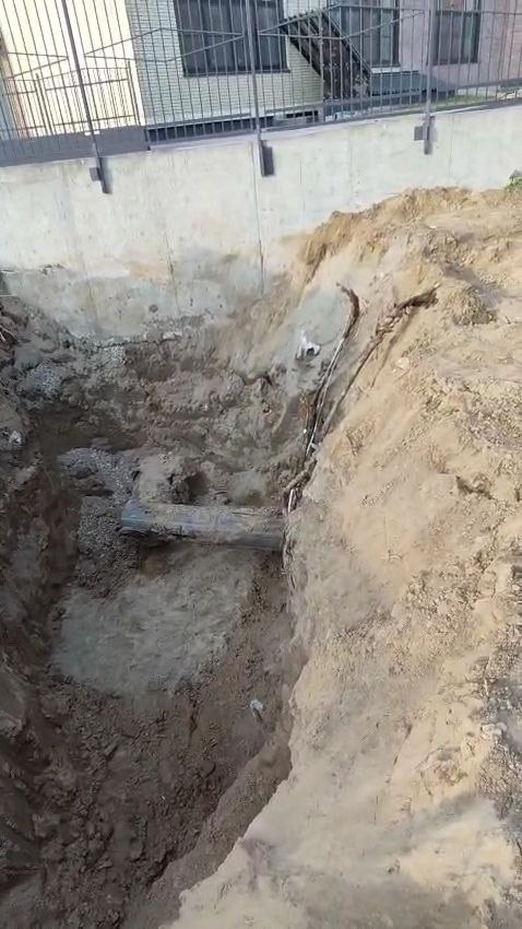 Фото "Инцидент Новосибирск"