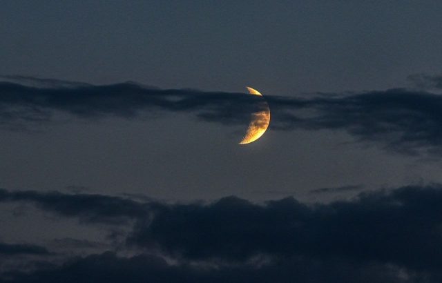     Автор фото: Виталий ГАРКУША