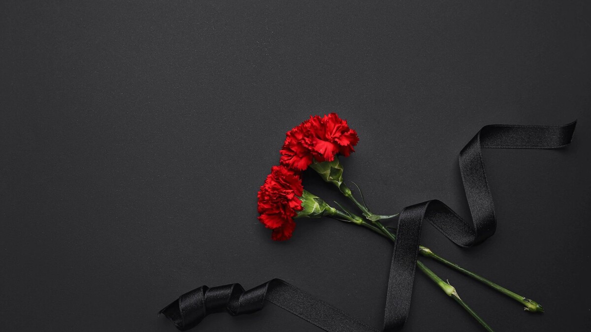    Фото: Pixel-Shot/Shutterstock/Fotodom