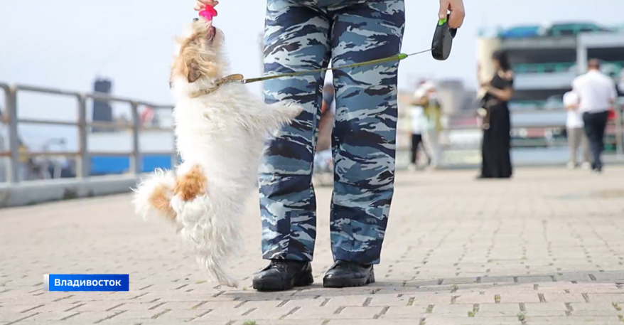    Источник фото: