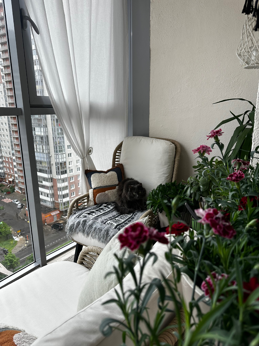 Июнь в моем регионе такой прохладный, что даже Батоша отказывается спать на балконе. Маня выходит иногда и то на прогулку. Даже теплый плед из шерсти не сумел этих пушистых убедить остаться. Правда холодно 😕