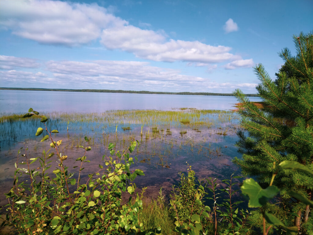    Фото: портал «В курсе.ру» Ульяна Бажанова