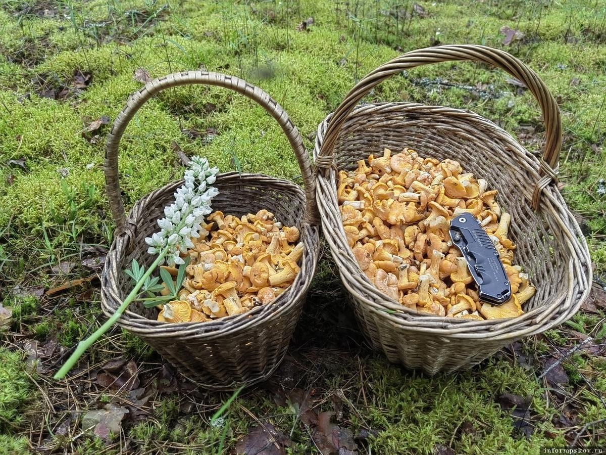 Внушительный улов. Фото: Иоанна Хохлова