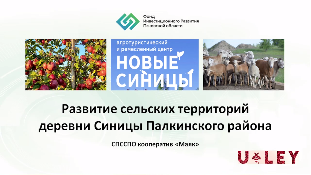 Скриншот видеопрезентации