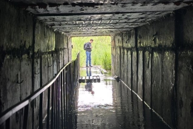    Даже деревянные настилы не помогают скрасить ситуацию. Фото: АиФ/ Анастасия Григорьева