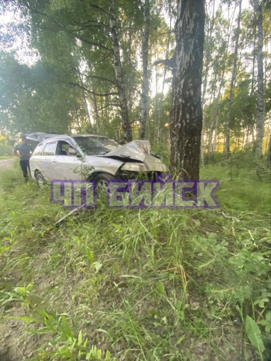    Автомобиль врезался в дерево. Источник: "ЧП Бийск | Новости"