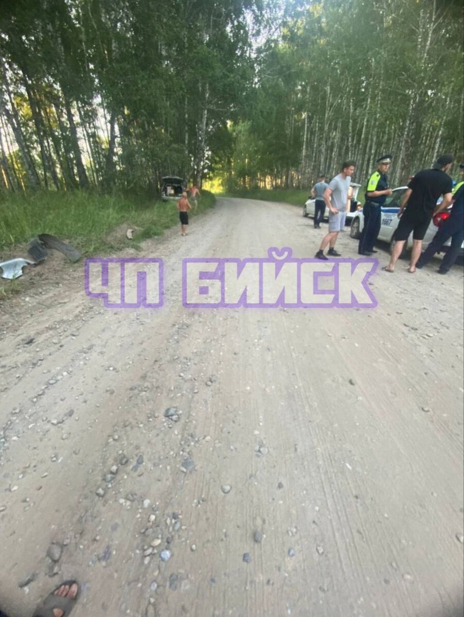    Автомобиль врезался в дерево. Источник: "ЧП Бийск | Новости"