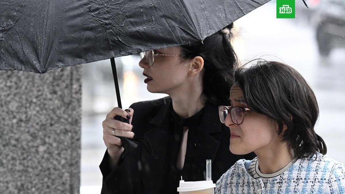    Фото: РИА Новости © 2025, Илья Питалев