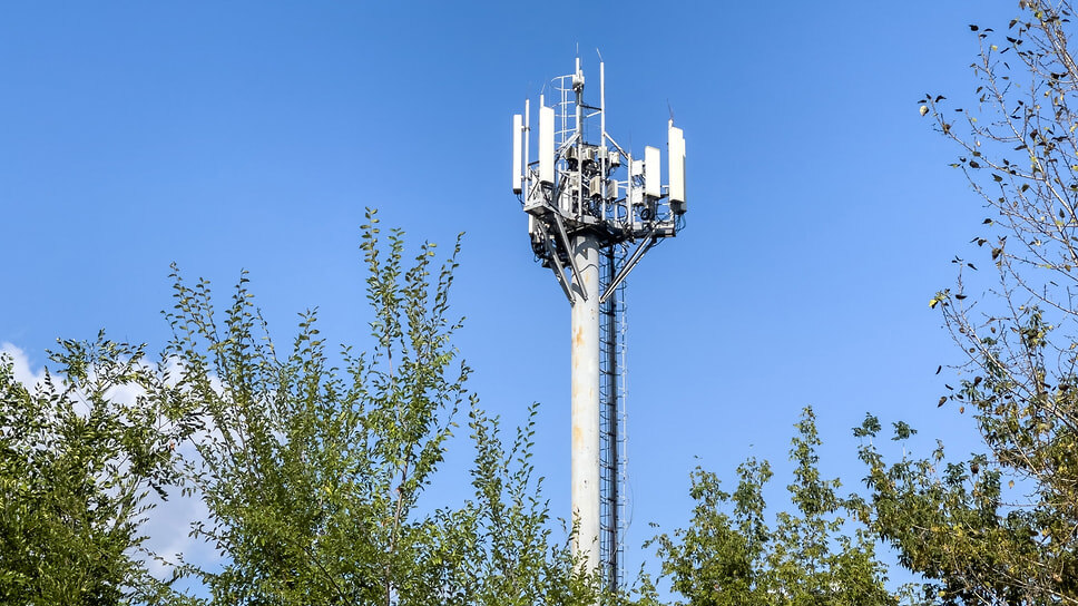 Фото: Игорь Елисеев / Коммерсантъ