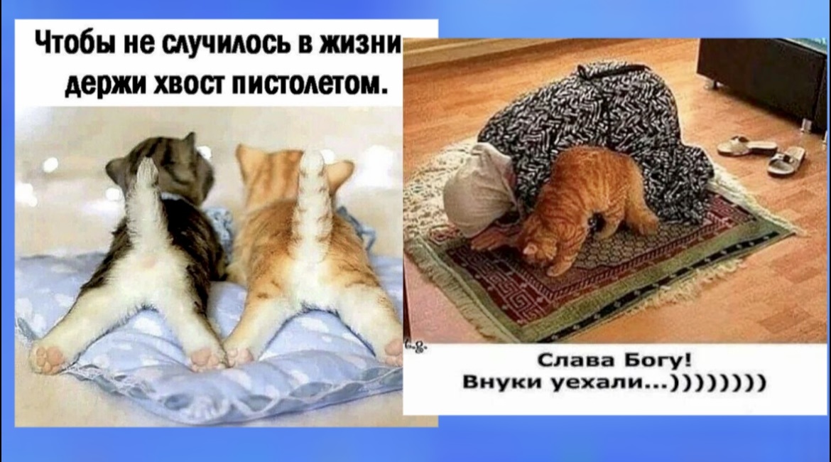 ‘’-ОЙ Ли!…’’😂Юморина про нас красивых: МЕМЫ "солянка" уморительно смешных картинок фото с шутками которые поднимут ВАМ летнее настроение