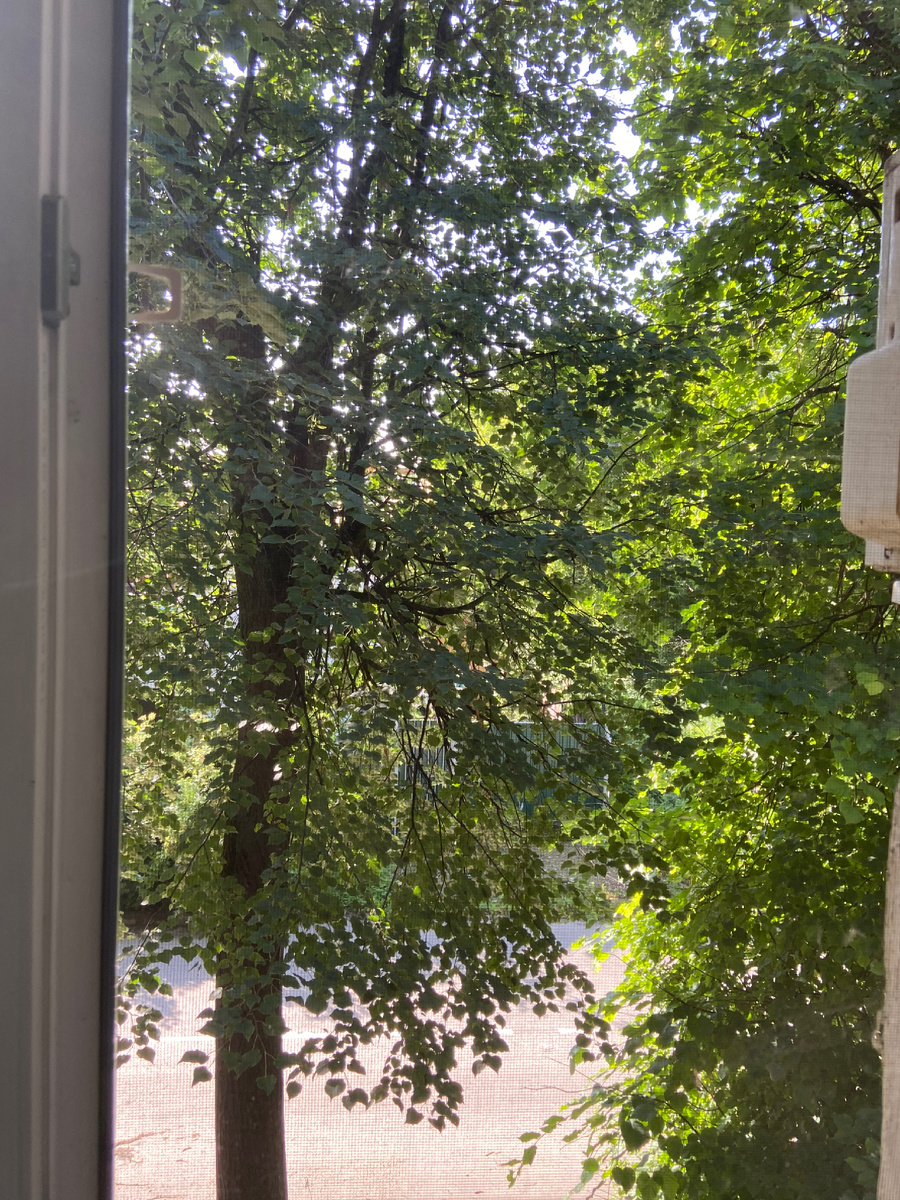 Вид из окна. 