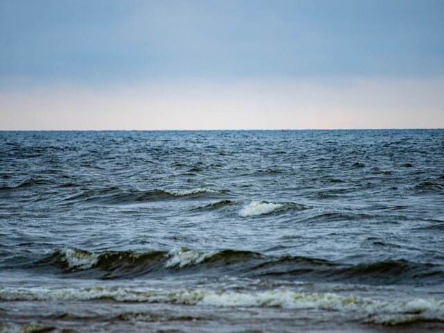    Фото: 123RF/martinsvanags