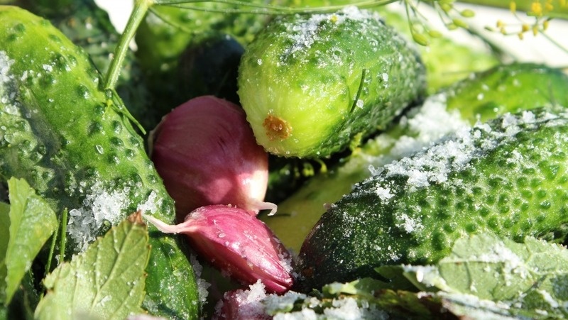     Фото: pxhere.com