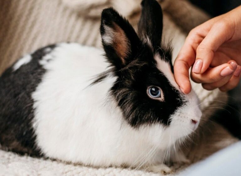    Фото: freepik.com/free-photo Александра Горохова