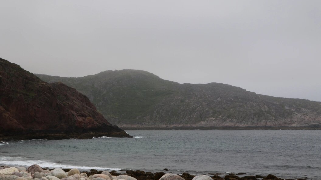    Фото: Maksim Konstantinov/Globallookpress