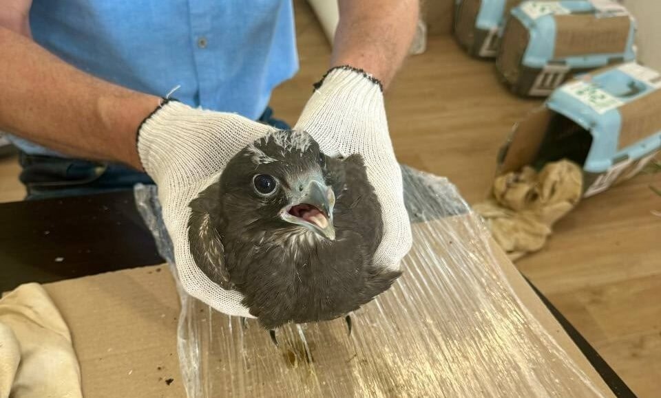    Фото: Сайлюгемский нацпарк