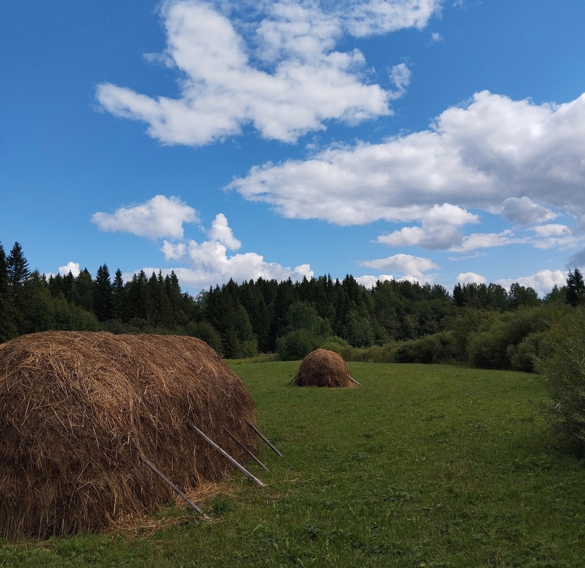 Фото автора. Сенокос в Верхне-Лалье 