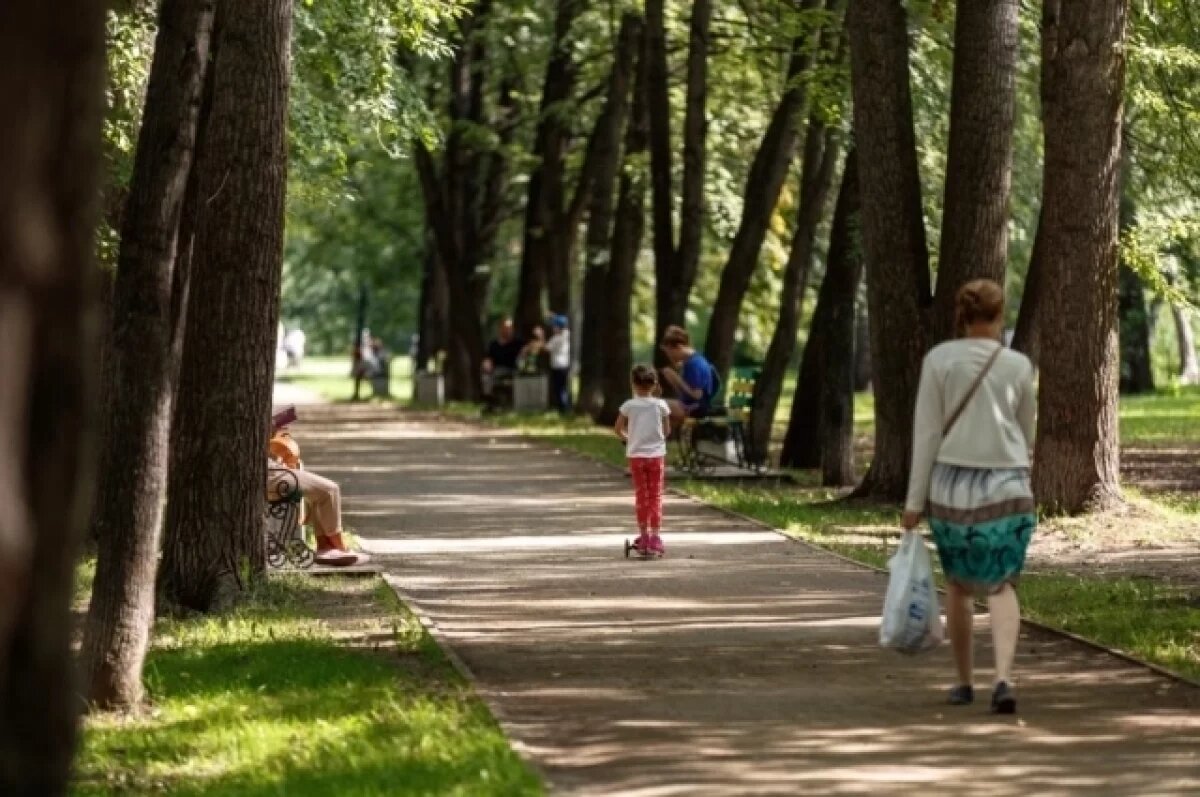    В екатеринбургском парке 50-летия ВЛКСМ высадят 1,2 тысячи деревьев