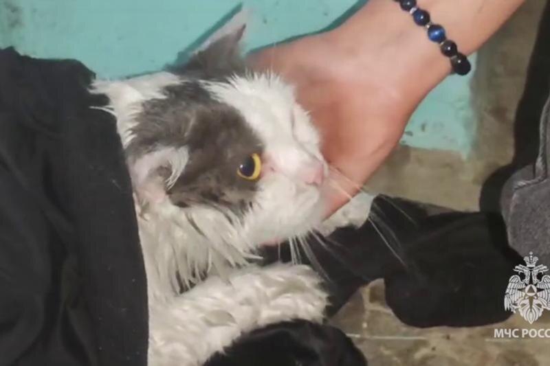    ГУ МЧС по Челябинской области