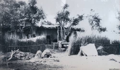 север Афганистана... один из прибрежных (Аму-Дарья) кишлаков...