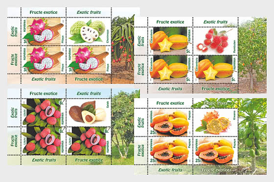 малый лист с купоном