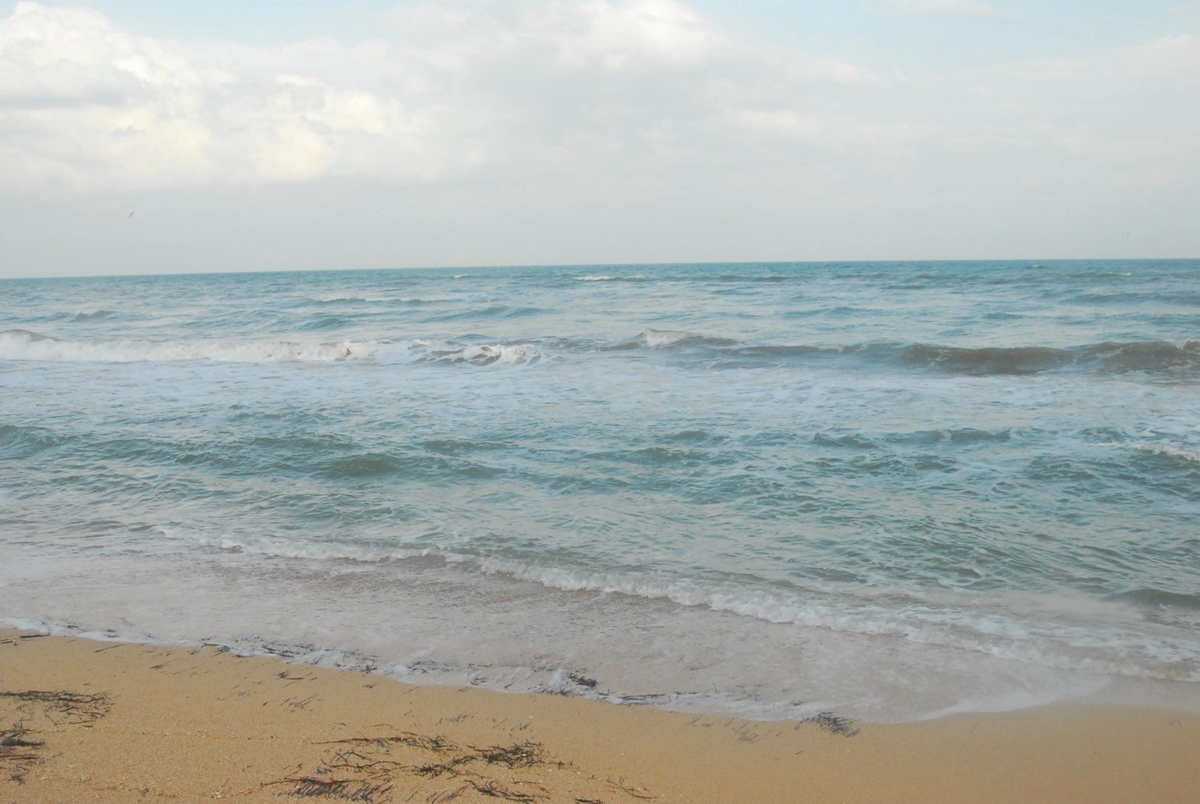Азовское море. Автор: Стоялов Максим Викторович. Источник: Wikimedia Commons