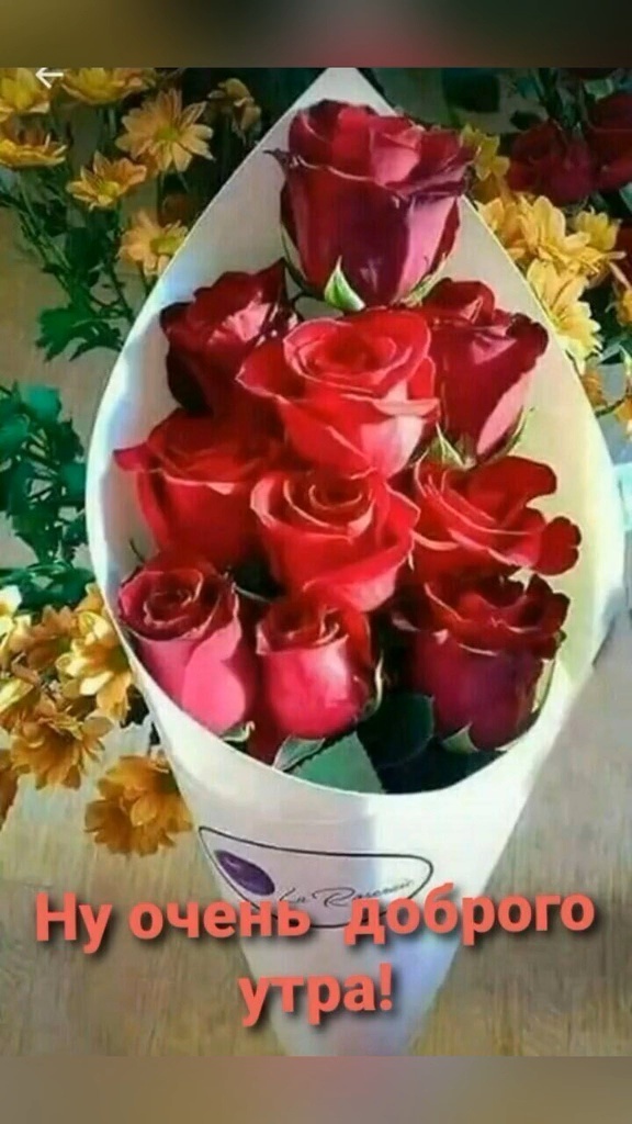 Скрин сделан автором статьи 