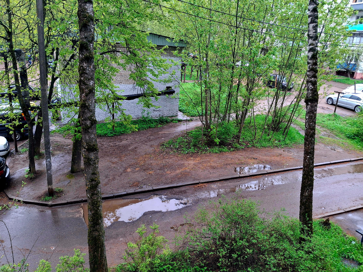 Фотография сделана автором 20 .06.2025