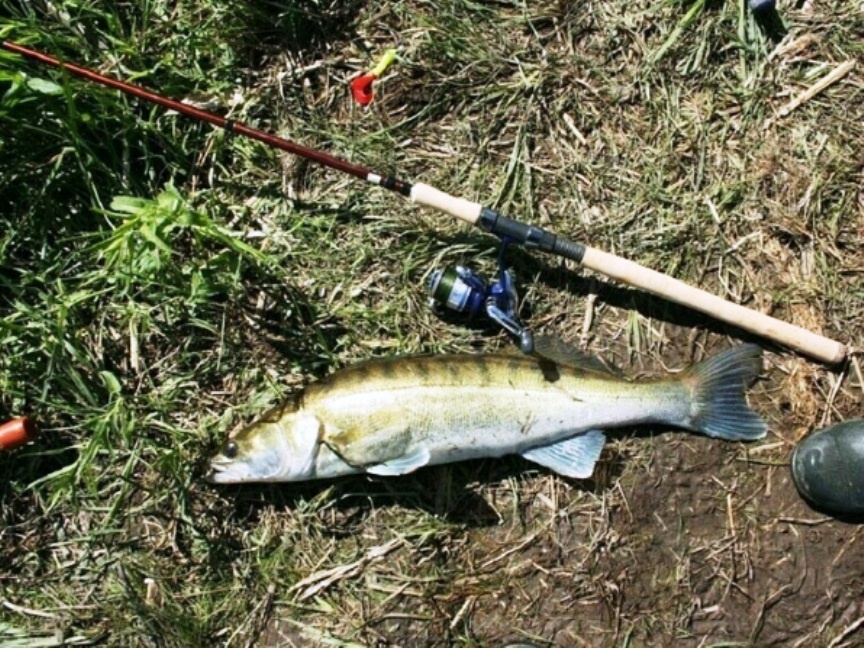 Вышел на воду на день раньше - лишился лодки, спиннинга, рыбы
