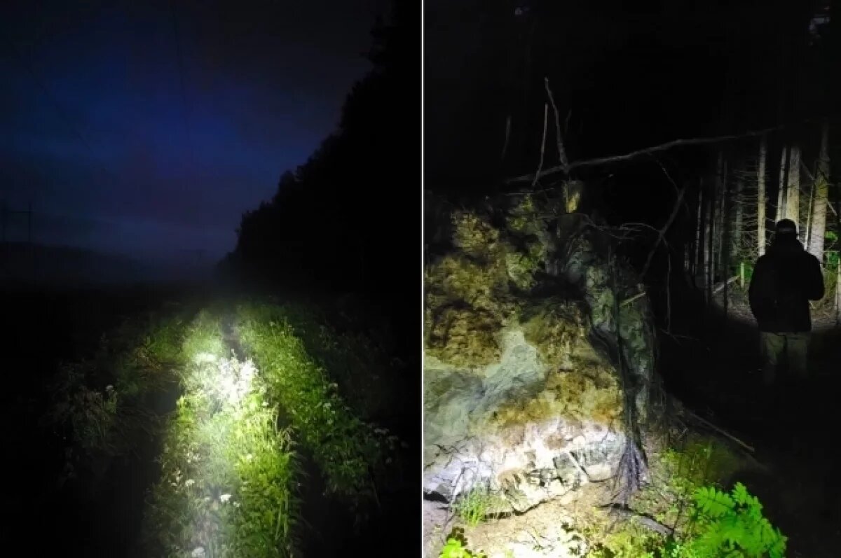    Несколько групп волонтёров искали пропавшего в лесу под Тверью дедушку