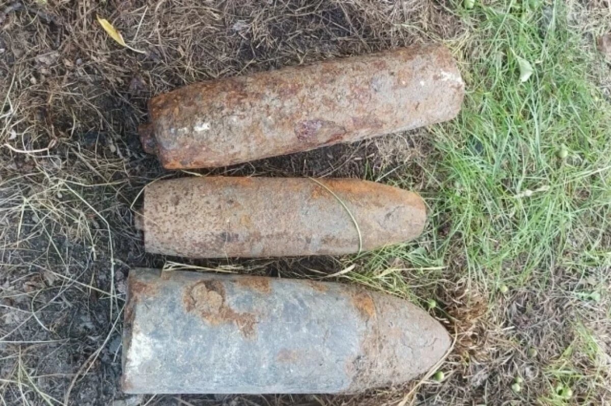    На Брянщине обезвредили 4 боеприпаса времен Великой Отечественной войны