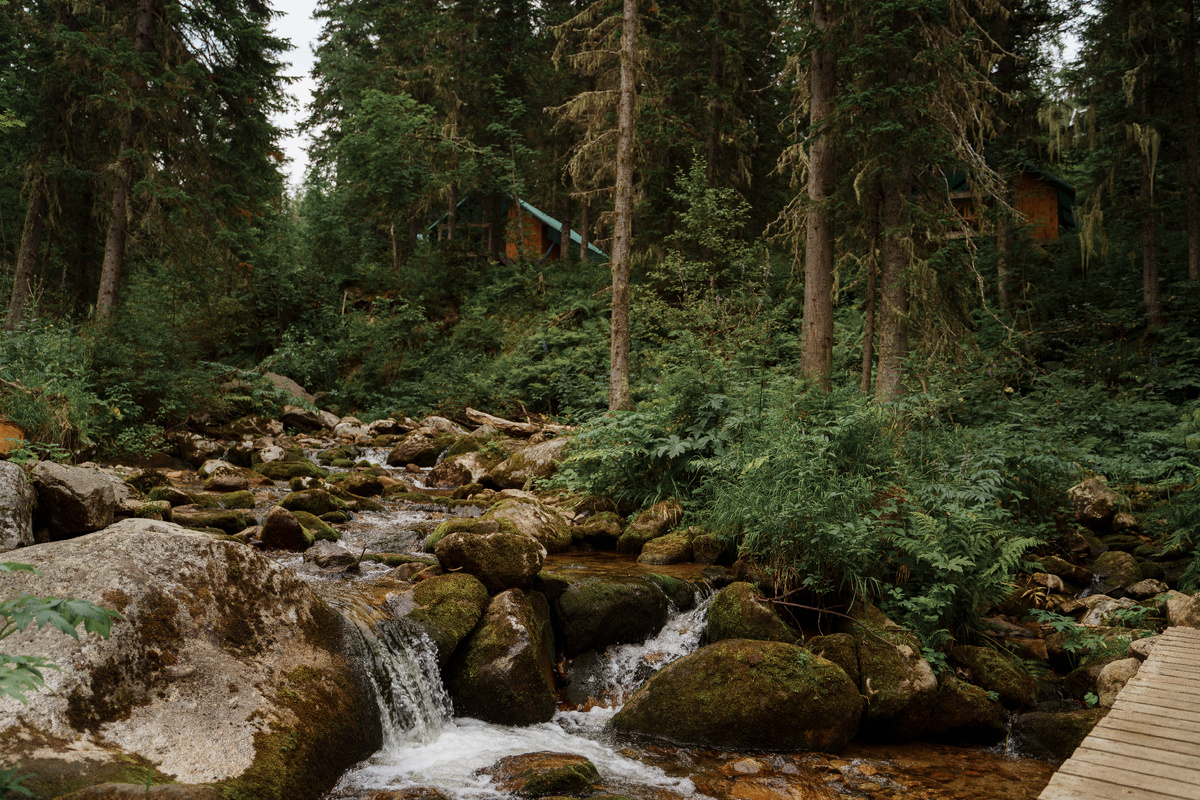 Аутентичная сибирская природа