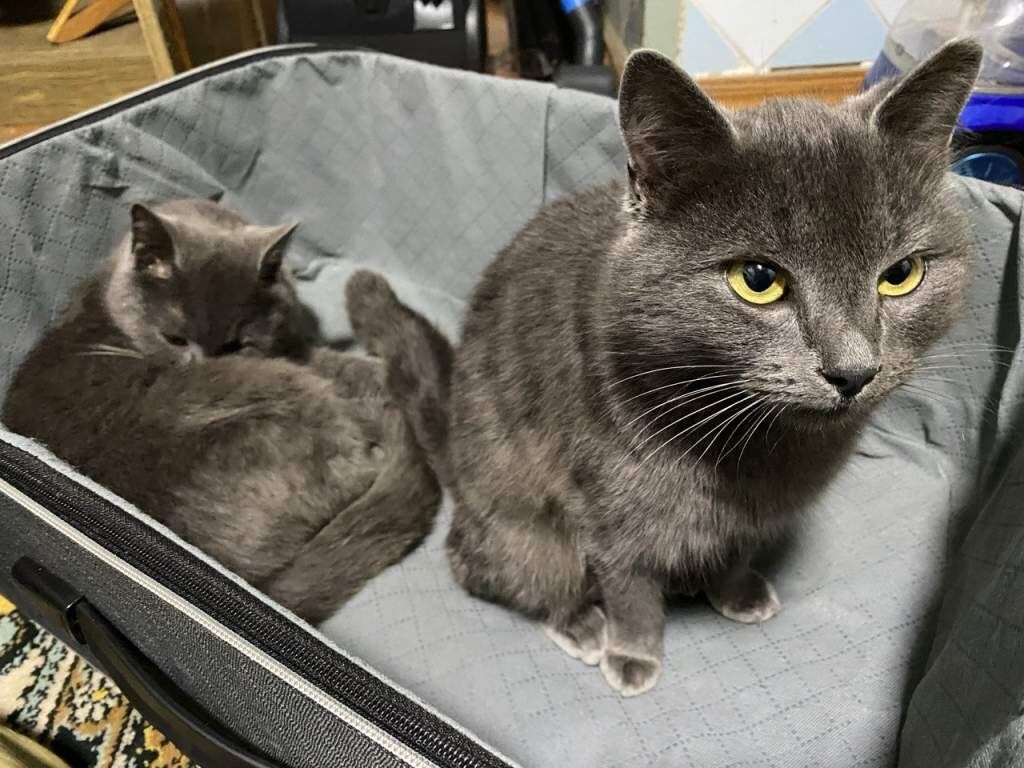   Фото: И. Куницкая. Ирина Куницкая