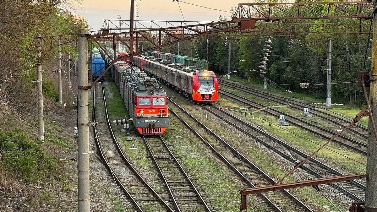    Фото: телеканал «Краснодар»