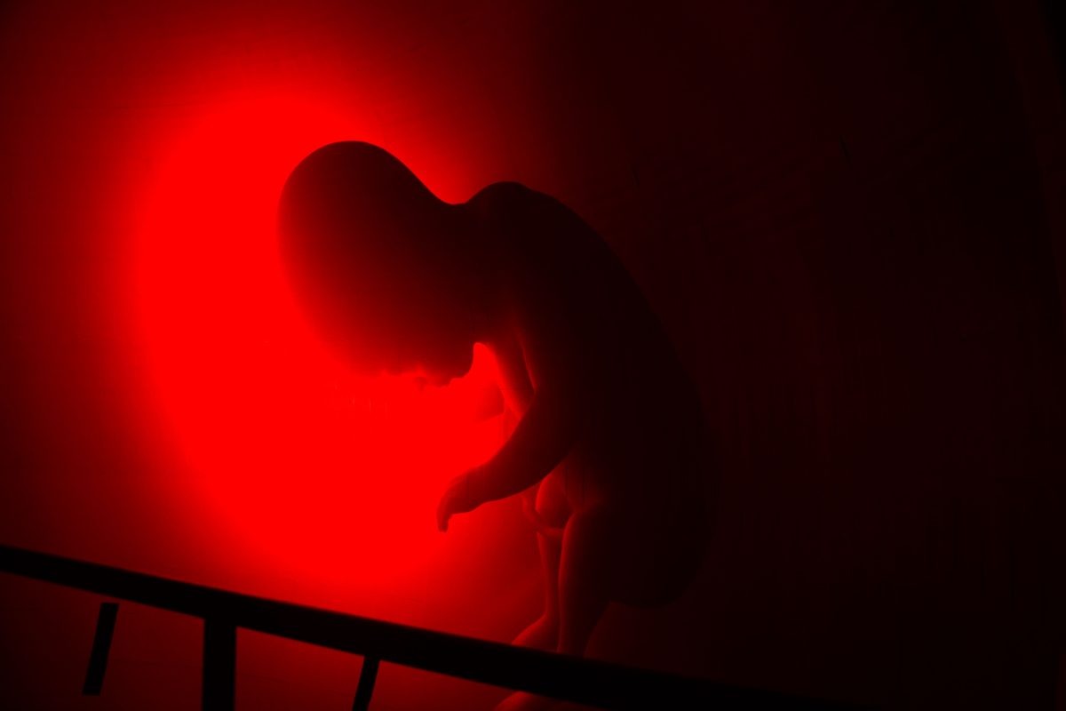    Пространство выставки заполнено яркими инсталляциями