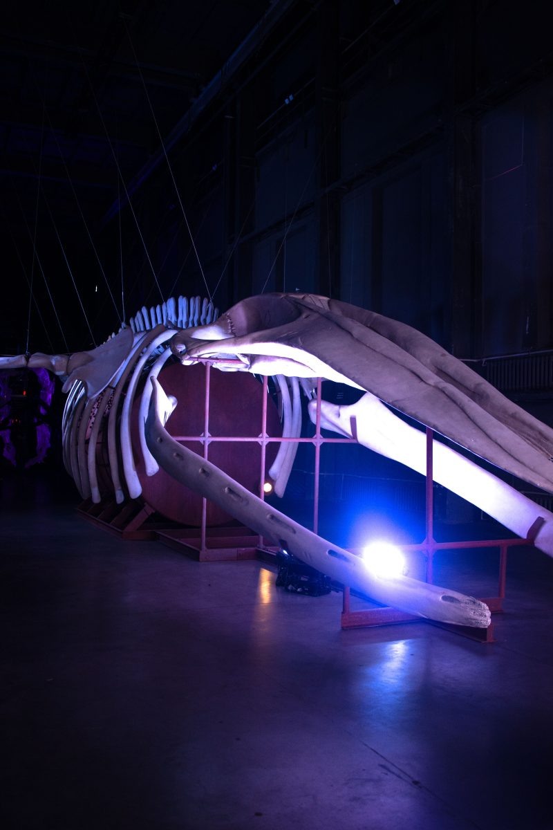    Фото: Влада Штин