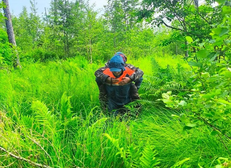    Фото ТГ-канала МЧС России Редактор