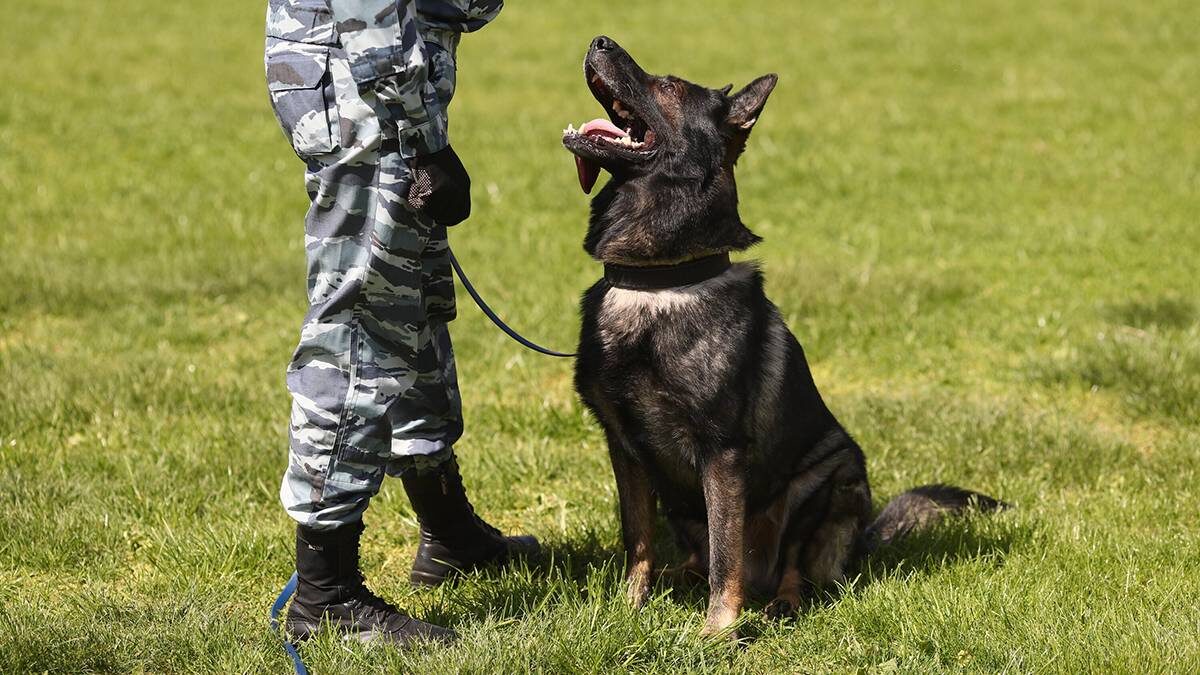    Фото: Василий Кузьмиченок / АГН Москва