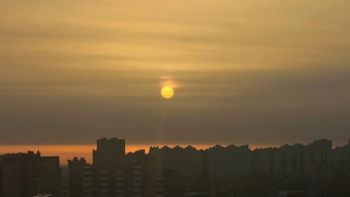     Источник: rostovgazeta.ru