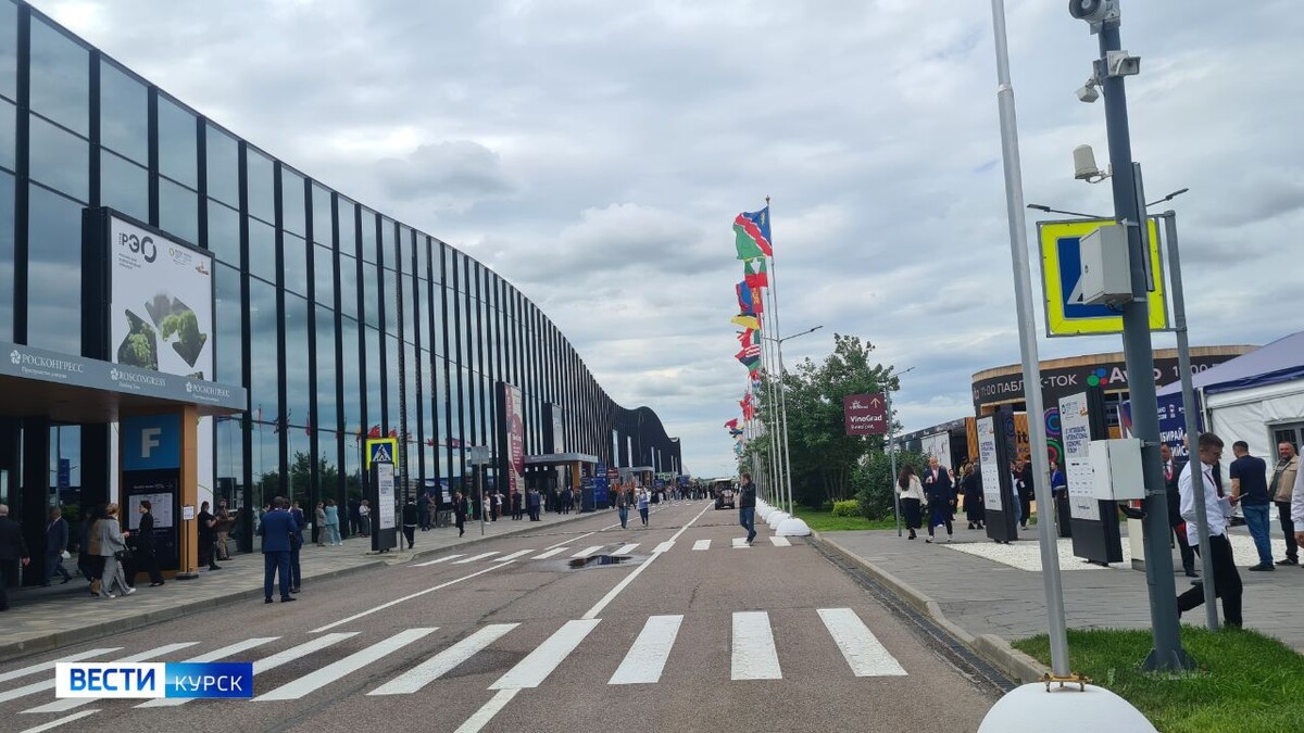    Сегодня главный день Петербургского международного экономического форума