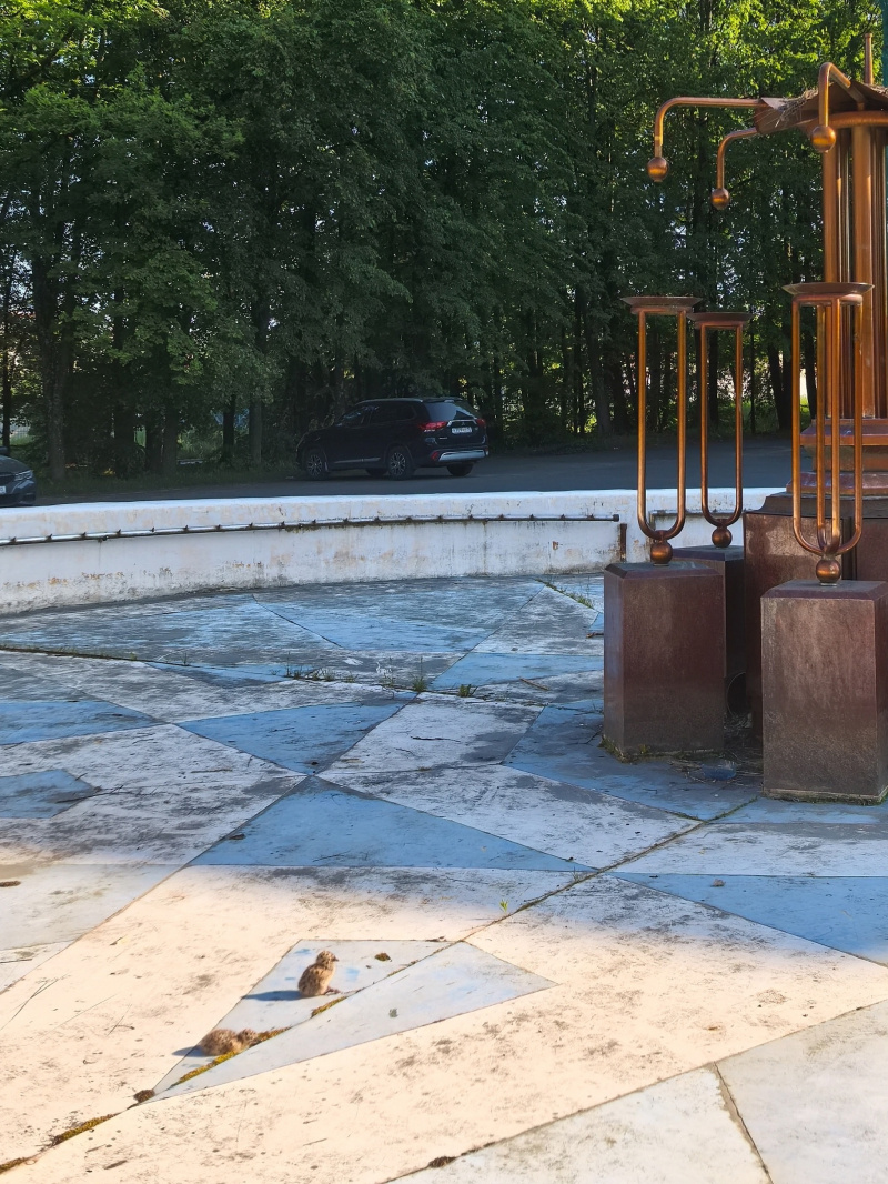    Кавыши поселились на месте старого фонтана в ПетрозаводскеДмитрий Пигин